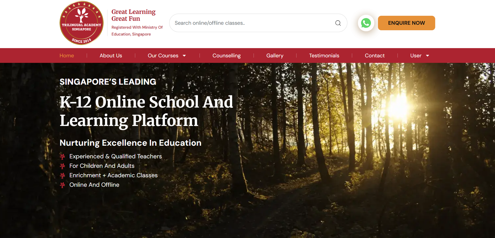 E-learning platform homepage with course catalogs, student progress tracking, and interactive elements